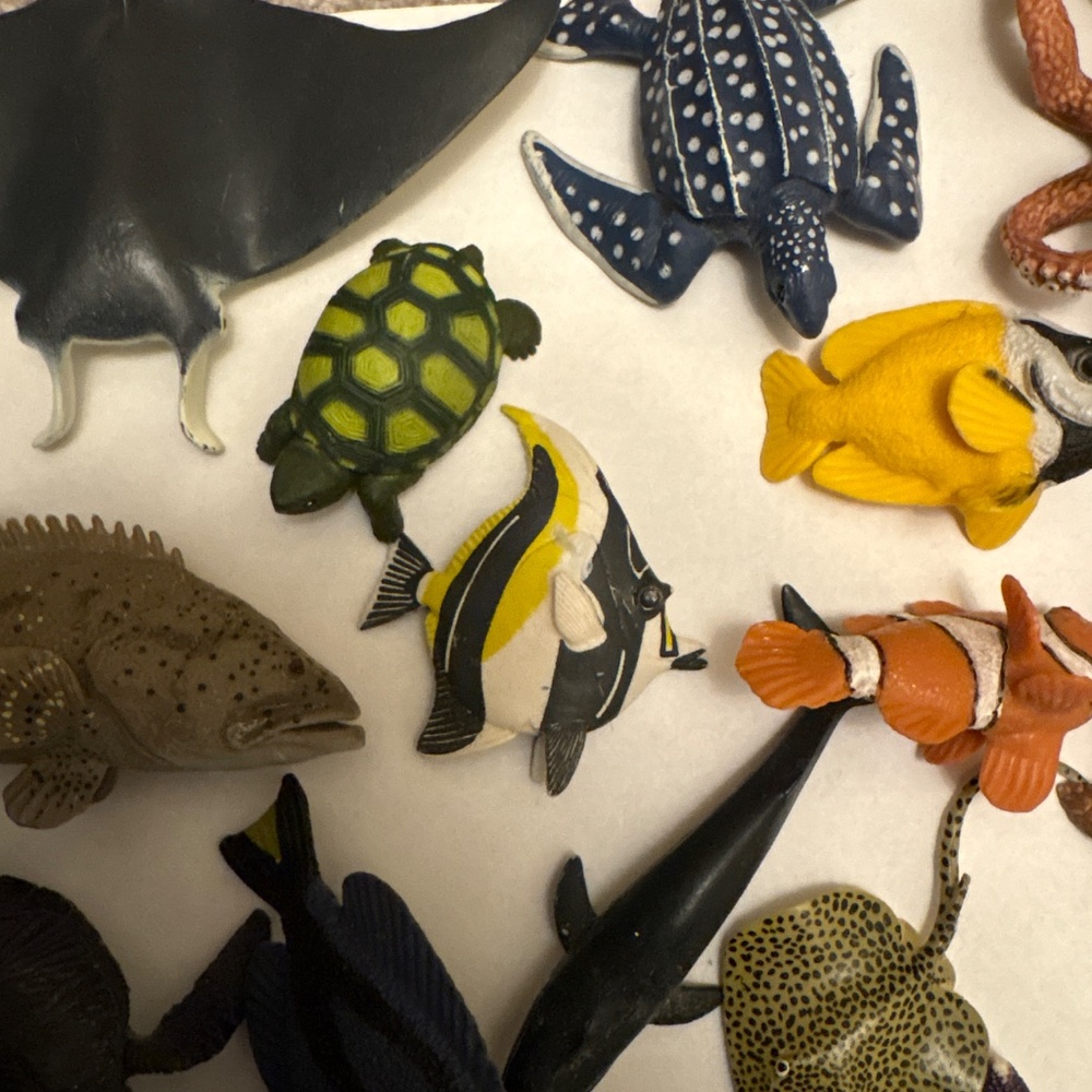 Sea creature bundle - Picture 4 of 5